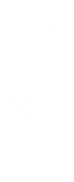 YKC_copy.png